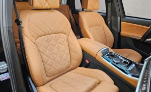 BMW X5 3.0 I6 Turbo 50E M Sport 2023/2024