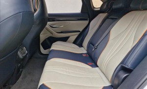 BYD SONG PLUS 1.5 DM-I HÍBRIDO AUTOMÁTICO 2023/2024