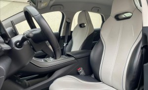 BYD KING 1.5 Dm-i Phev GL 2024/2025