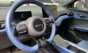 BYD DOLPHIN MINI 38 KW GS 2026/2027