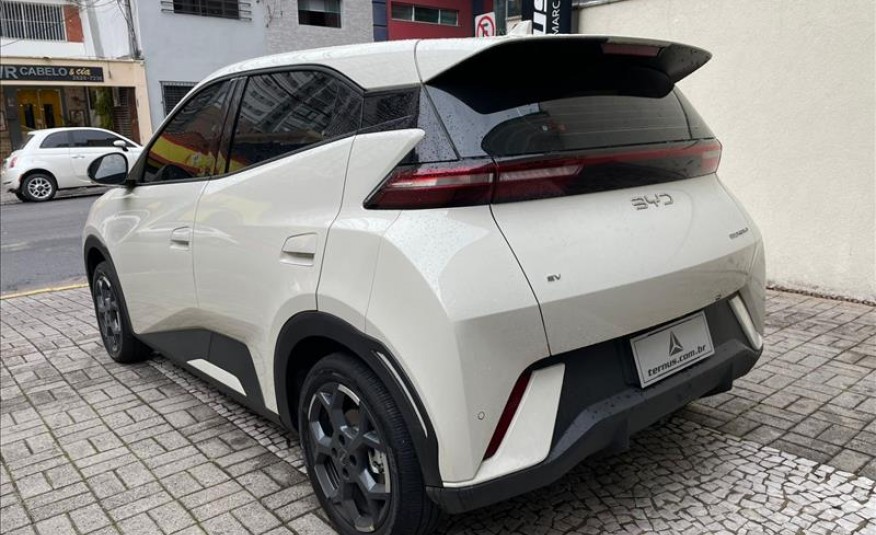BYD DOLPHIN MINI 38 KW GS 2026/2027