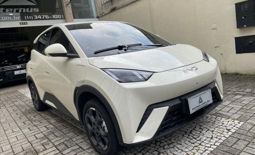 BYD DOLPHIN MINI 38 KW GS 2026/2027